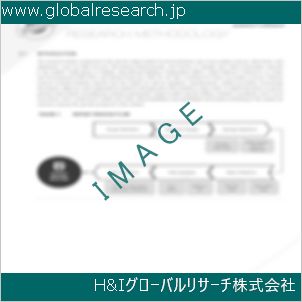 グローバルリサーチ調査資料のイメージ